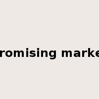 promising market是什么意思