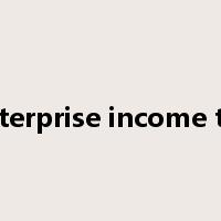 enterprise income tax是什么意思