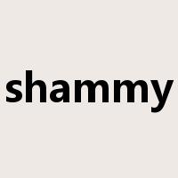 shammy是什么意思