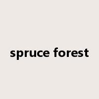 spruce forest是什么意思