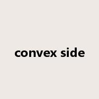 convex side是什么意思