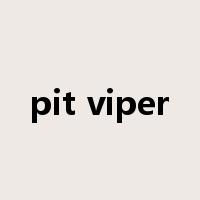 pit viper是什么意思