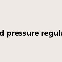 blood pressure regulation是什么意思