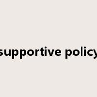 supportive policy是什么意思