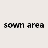 sown area是什么意思