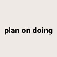 plan on doing是什么意思