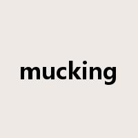 mucking是什么意思
