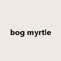 bog myrtle是什么意思