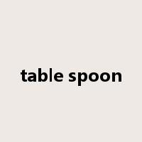 table spoon是什么意思