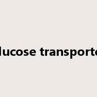 glucose transporter是什么意思