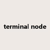 terminal node是什么意思