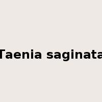 Taenia saginata是什么意思