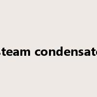 steam condensate是什么意思