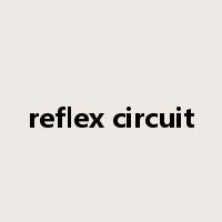reflex circuit是什么意思
