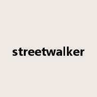 streetwalker是什么意思
