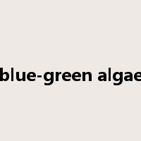 blue-green algae是什么意思