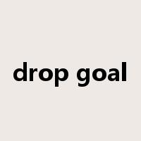 drop goal是什么意思