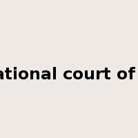 international court of justice是什么意思