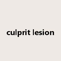 culprit lesion是什么意思