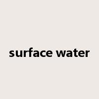surface water是什么意思