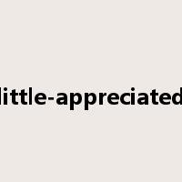 little-appreciated是什么意思