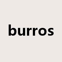 burros是什么意思