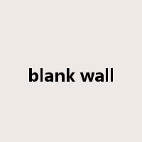 blank wall是什么意思