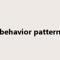 behavior pattern是什么意思