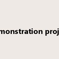 demonstration project是什么意思