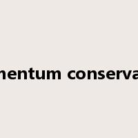 momentum conservation是什么意思