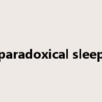 paradoxical sleep是什么意思