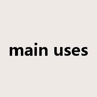 main uses是什么意思