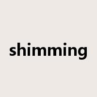 shimming是什么意思