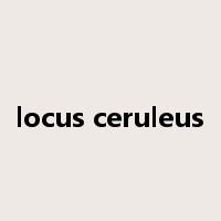 locus ceruleus是什么意思