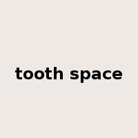 tooth space是什么意思