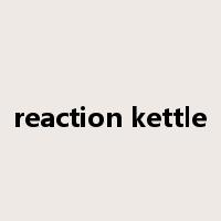 reaction kettle是什么意思