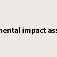 environmental impact assessment是什么意思