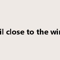 sail close to the wind是什么意思