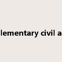 supplementary civil action是什么意思