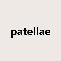 patellae是什么意思