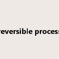 reversible process是什么意思