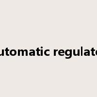 automatic regulator是什么意思