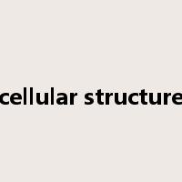 cellular structure是什么意思