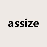 assize是什么意思