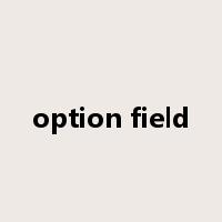 option field是什么意思