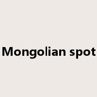 Mongolian spot是什么意思