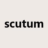 scutum是什么意思