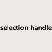 selection handle是什么意思