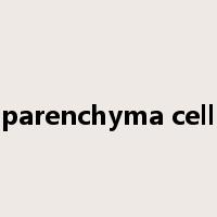 parenchyma cell是什么意思