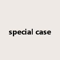 special case是什么意思